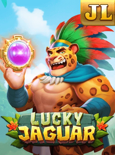 Live bingo show cover
